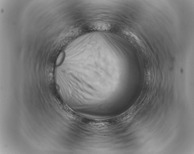 X0000088600553200706151804