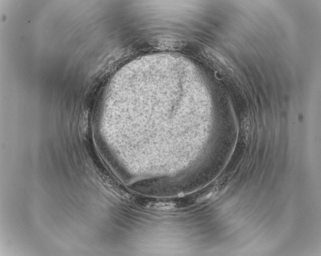 X0000088600554200706151804