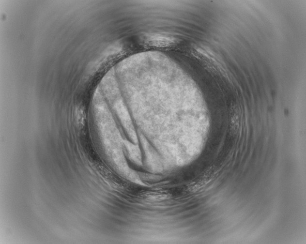 X0000088600555200706151804