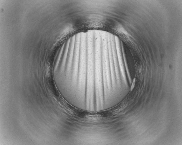 X0000088600556200706151804