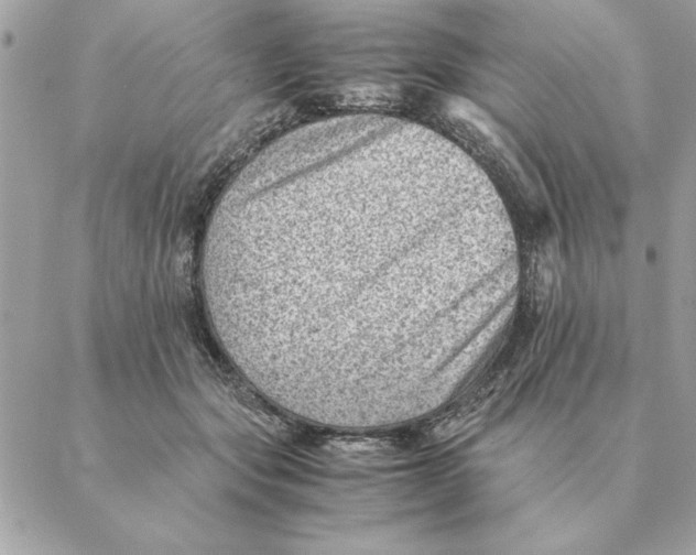 X0000088600557200706151804