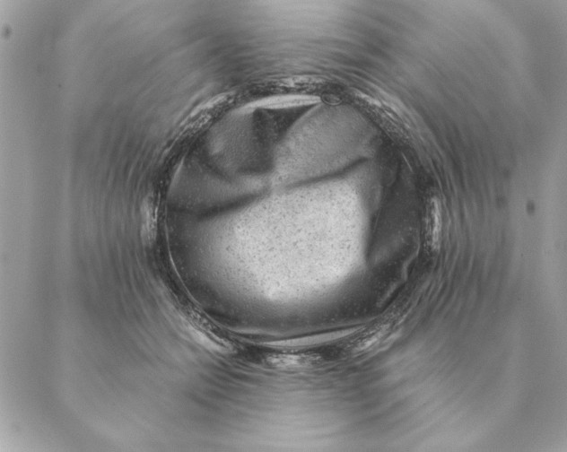 X0000088600558200706151804