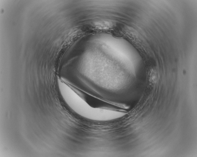 X0000088600559200706151804