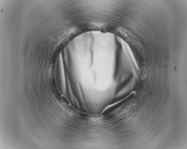 X0000088600560200706151804