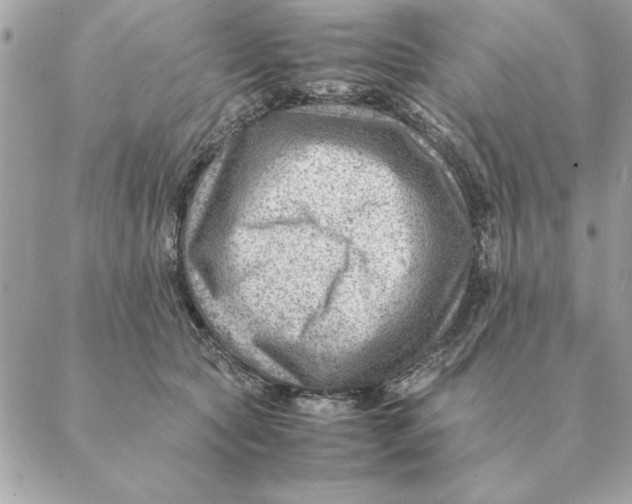 X0000088600561200706151804