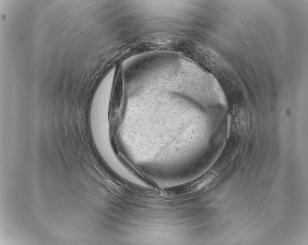 X0000088600562200706151804