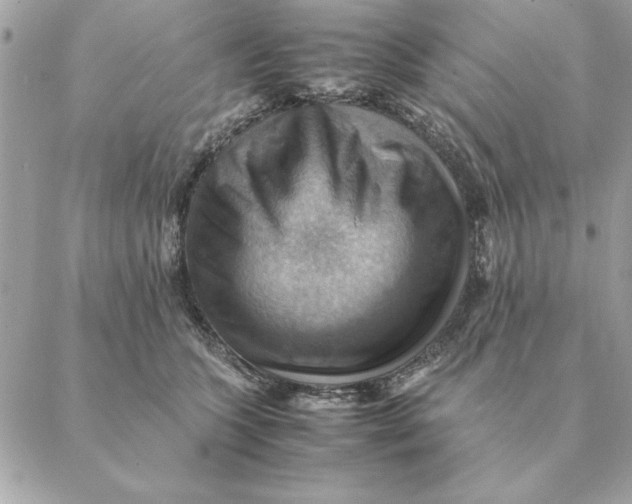 X0000088600563200706151804