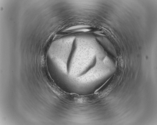 X0000088600564200706151804