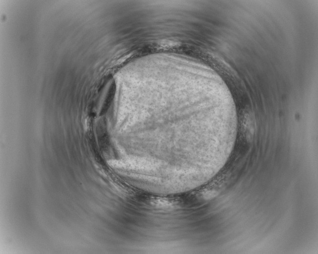 X0000088600565200706151804