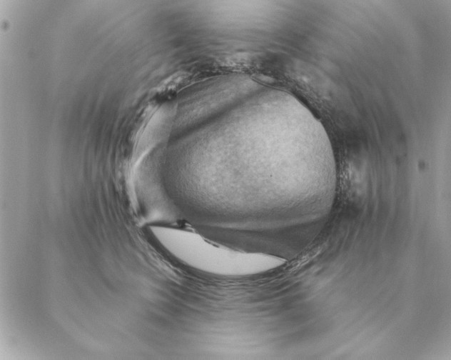 X0000088600566200706151804