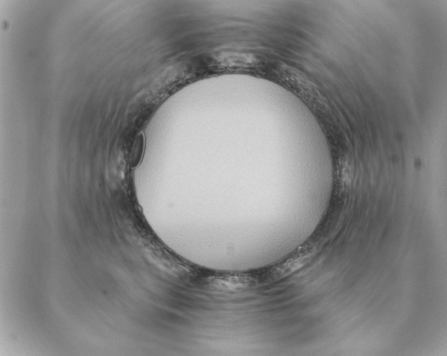 X0000088600567200706151804