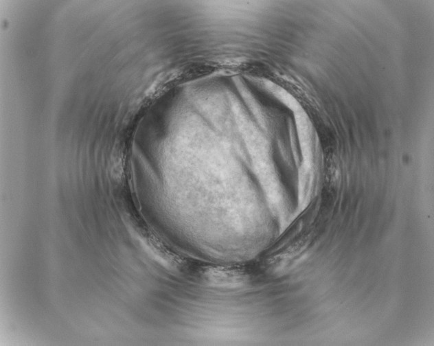 X0000088600568200706151804