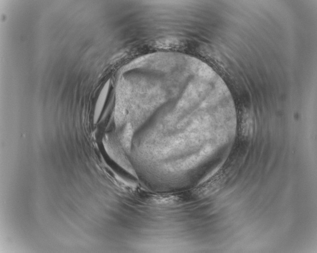 X0000088600569200706151804