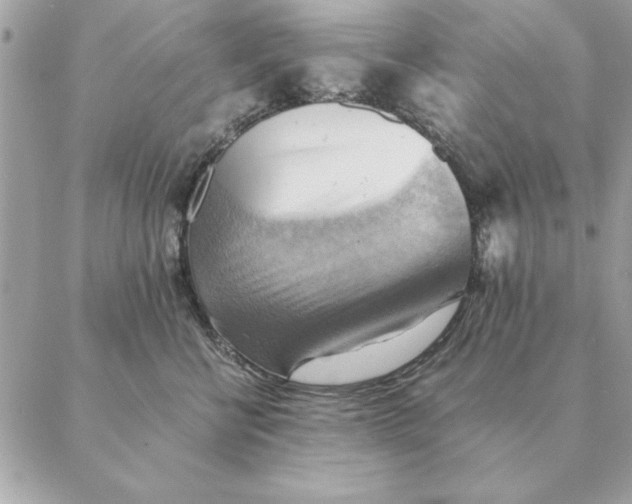 X0000088600570200706151804