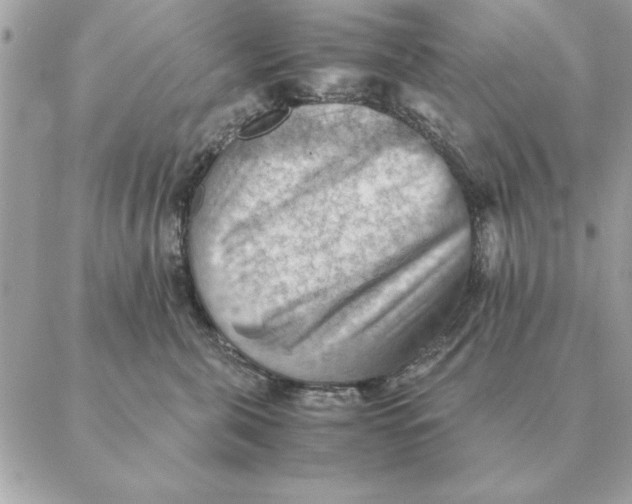 X0000088600571200706151804