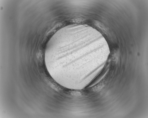 X0000088600572200706151804