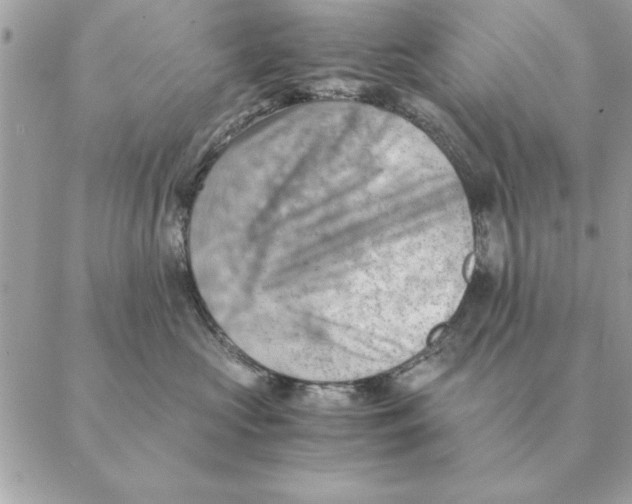 X0000088600573200706151804