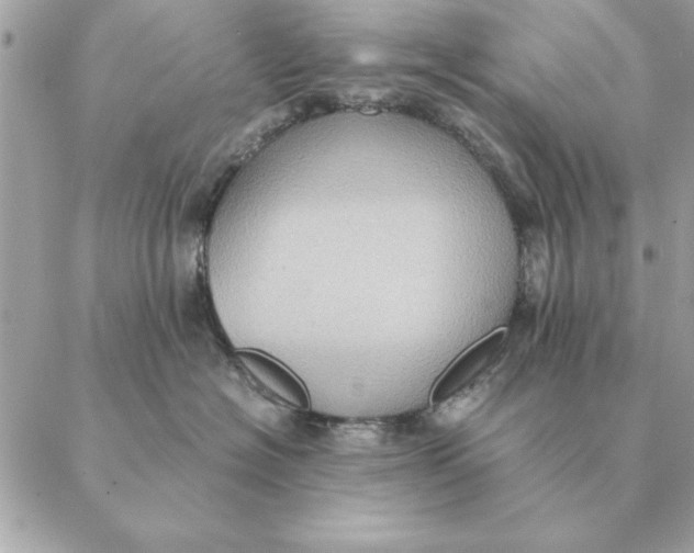 X0000088600574200706151804