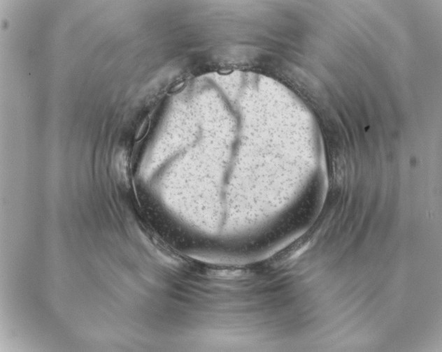 X0000088600575200706151804