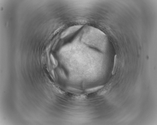 X0000088600576200706151804