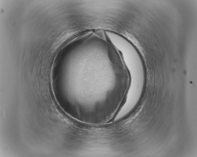 X0000088600577200706151803