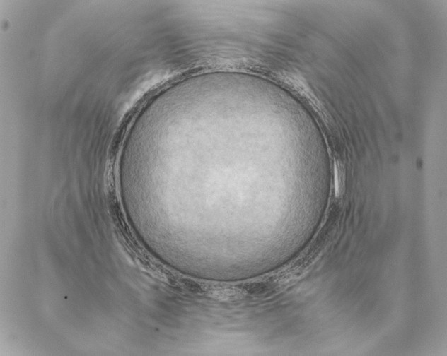 X0000088600579200706151803