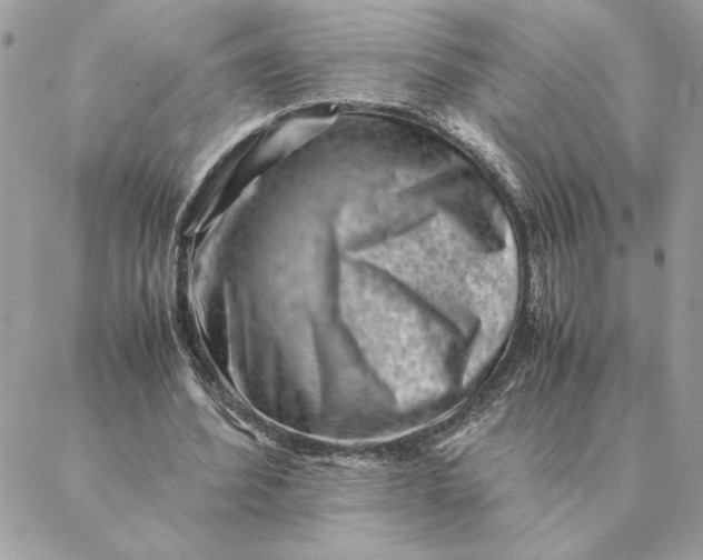 X0000088600580200706151803