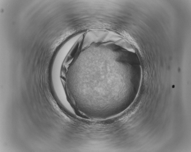 X0000088600581200706151803