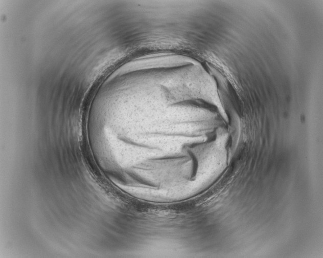 X0000088600582200706151803