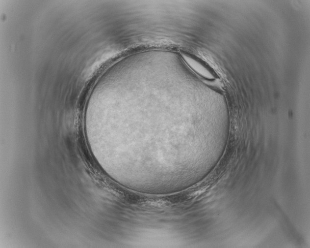 X0000088600583200706151803