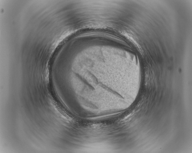 X0000088600584200706151803