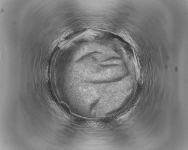 X0000088600585200706151803