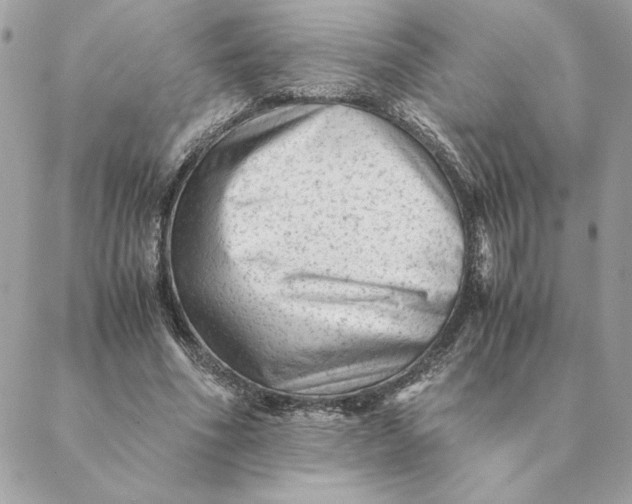 X0000088600586200706151803