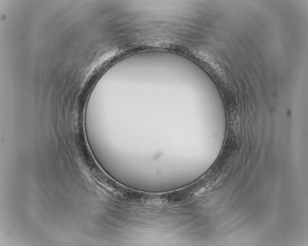 X0000088600587200706151803