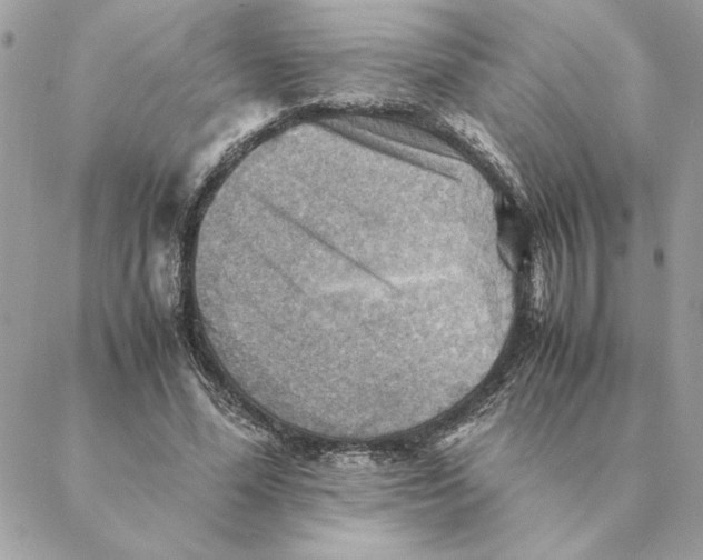 X0000088600588200706151803