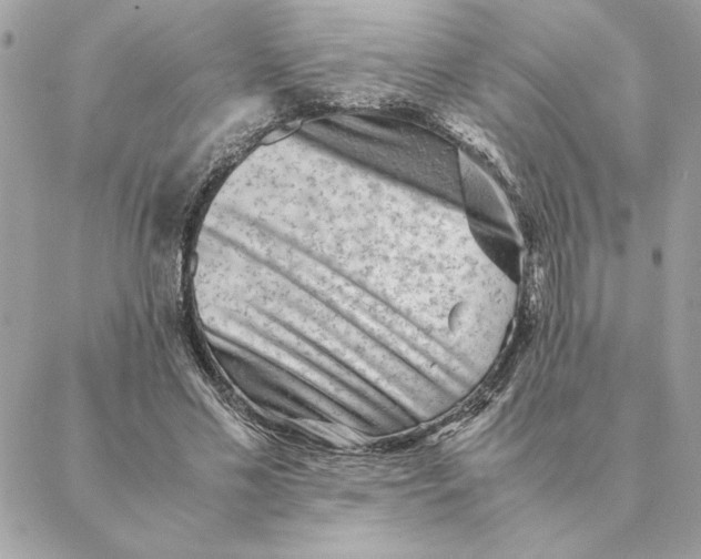 X0000088600589200706151803