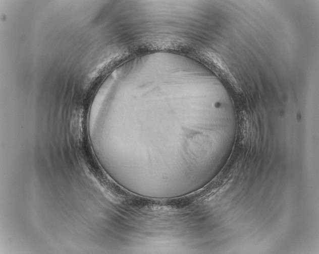 X0000088600590200706151803