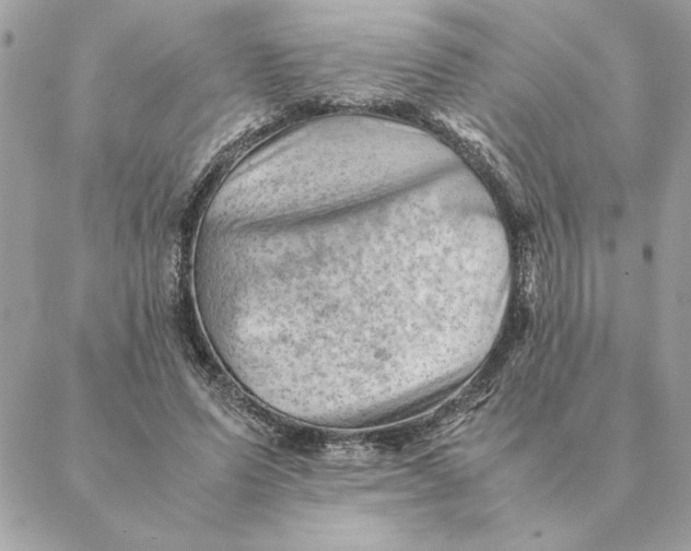 X0000088600591200706151803