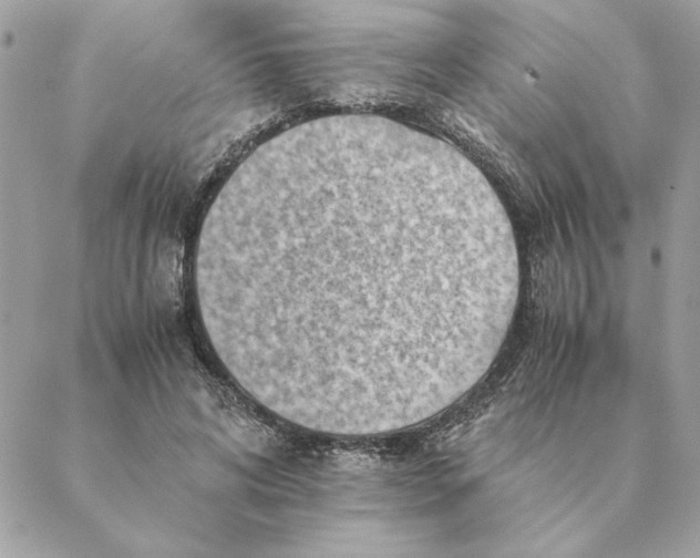 X0000088600592200706151803