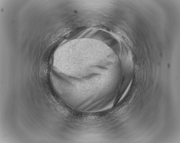 X0000088600593200706151803