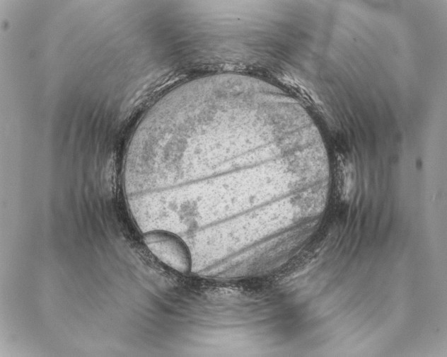 X0000088600594200706151803