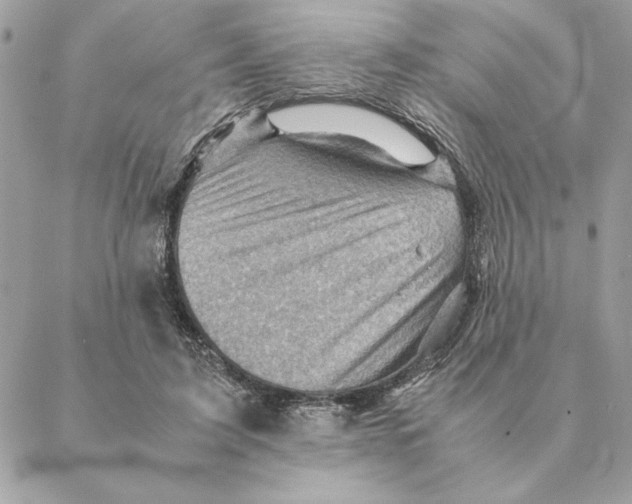 X0000088600595200706151803