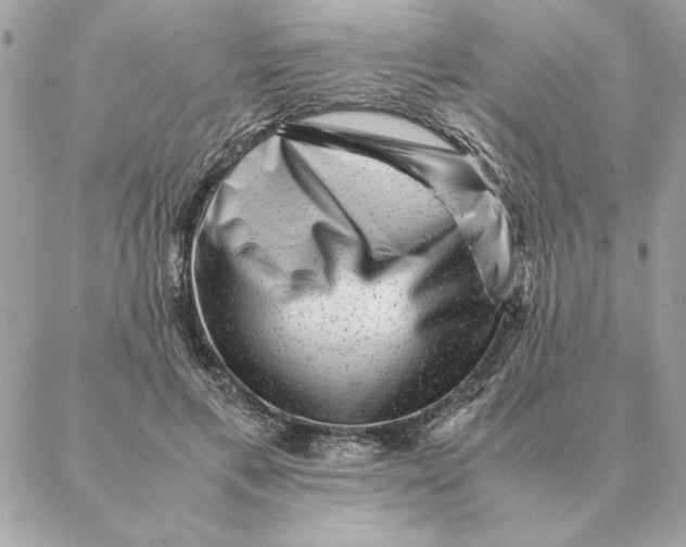 X0000088600597200706151803