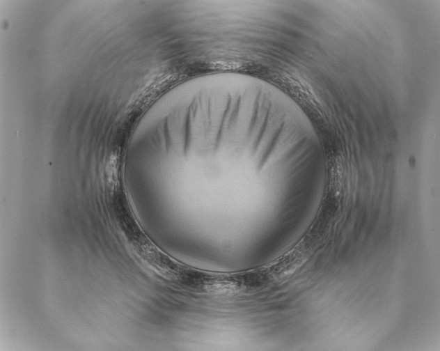 X0000088600598200706151803