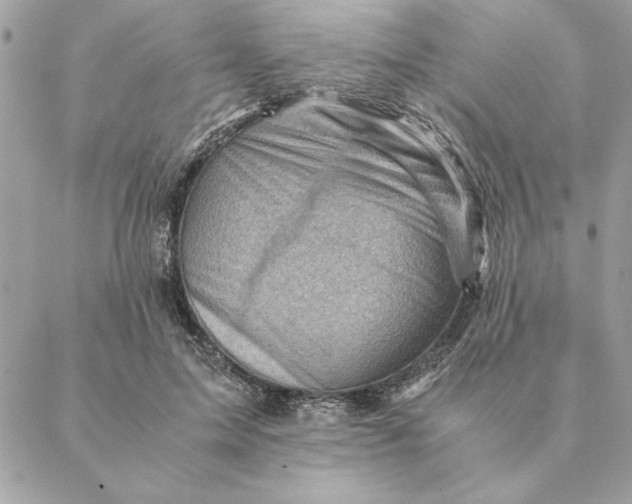 X0000088600599200706151803