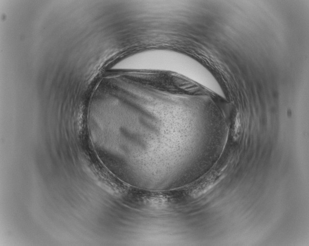 X0000088600600200706151803