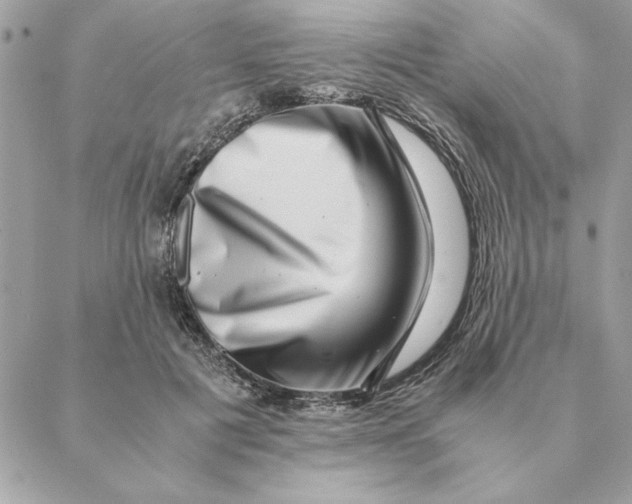 X0000088600601200706151803