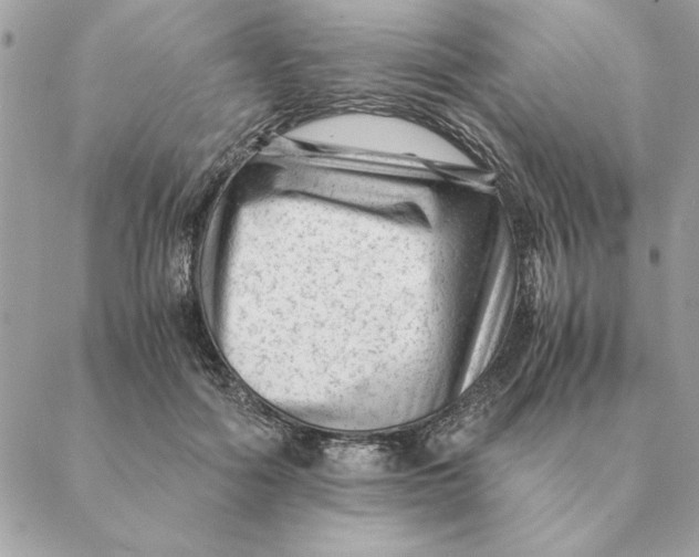 X0000088600602200706151803