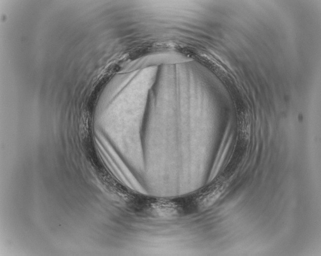 X0000088600603200706151803