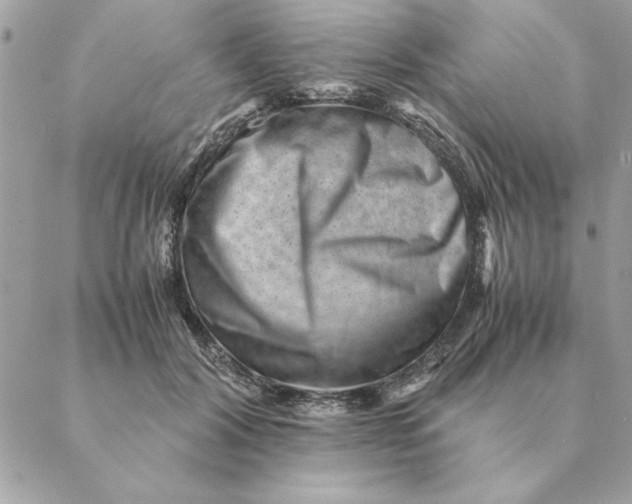 X0000088600604200706151803